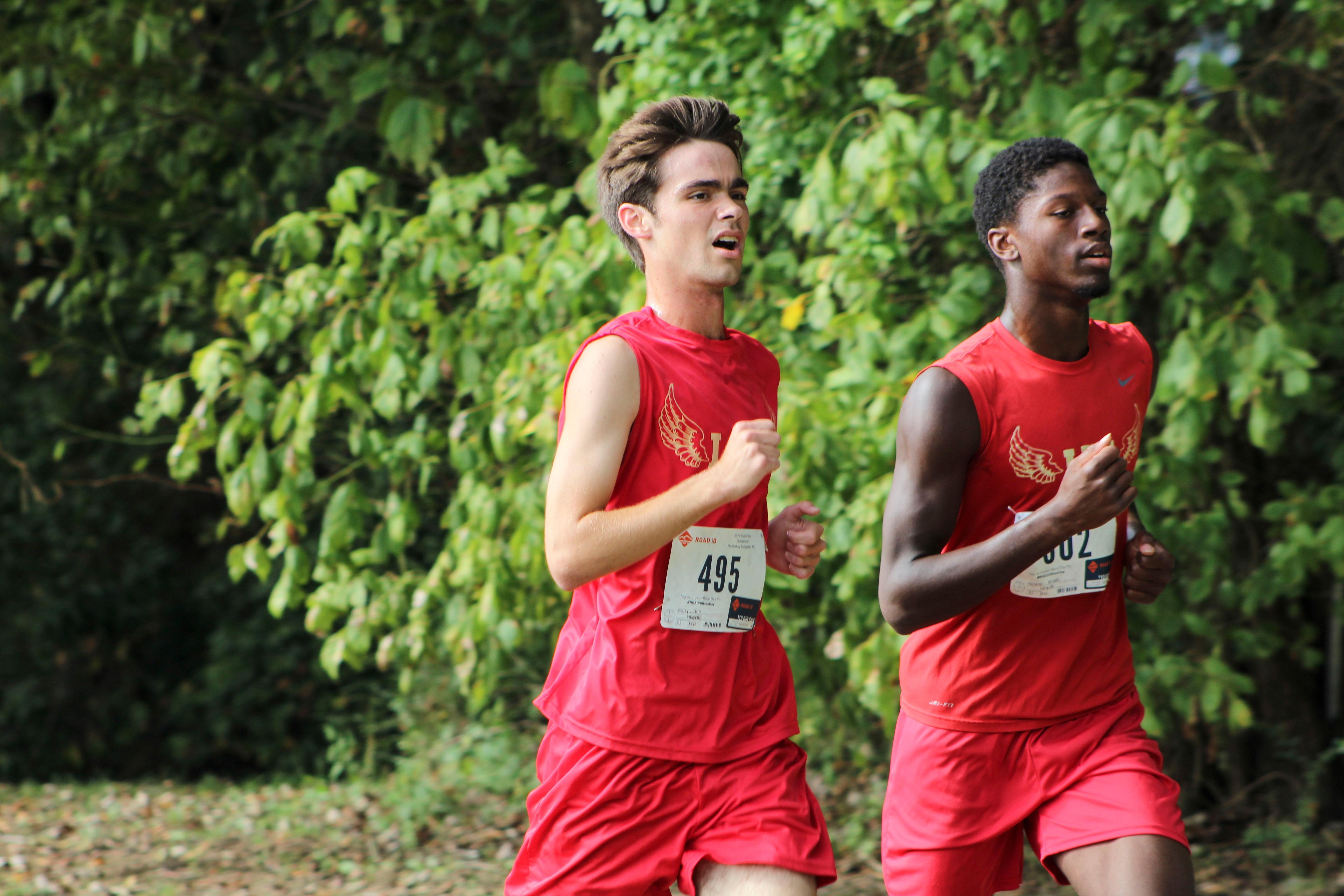 2019 Commodores Cross Country Preview