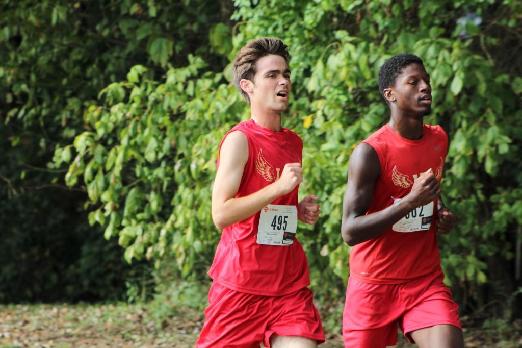 2019 Commodores Cross Country&nbsp;Preview